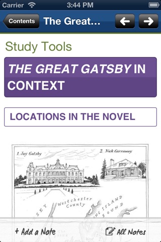 The Great Gatsby York Notes AS and A2 screenshot 4