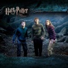 哈利波特-Harry Potter中英对照脚本CD音质mp3