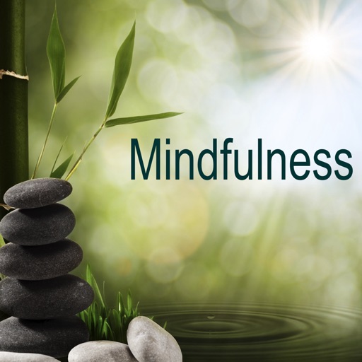 Mindfulness: Practical Guide Cards with Key Insights and Daily Inspiration