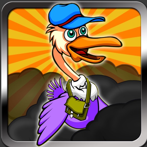 Ostrich Postman iOS App