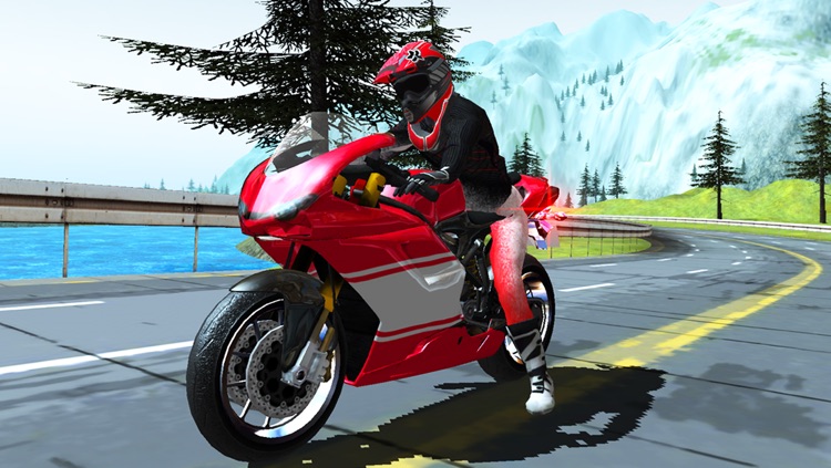 3D Highway Bike Rider Free screenshot-3