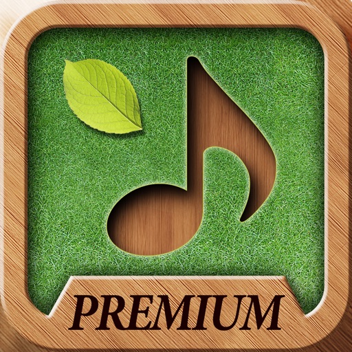 Sound Massage Premium - No more gloomy days! iOS App
