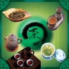 广州茶业