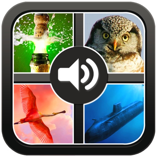 Guess the sound. Great puzzle and word game.150 sounds 400 photos and pics. iOS App