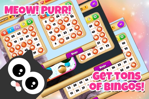 Cat Lovers BINGO! - FREE Multi-Room Bingo Game screenshot 2