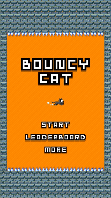 Bouncy Cat !!