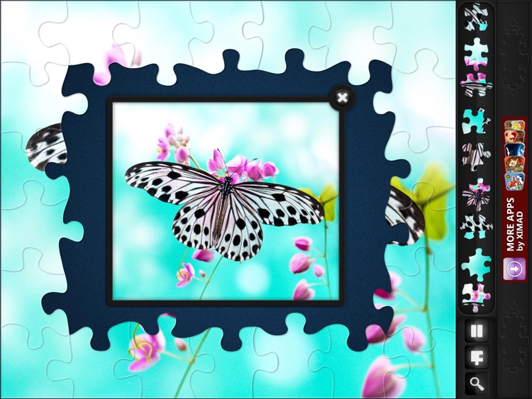 Jigsaw Puzzles 9000+ by ZiMAD