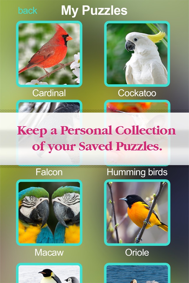 Birds Jigsaw Free - Collection Of Unique Puzzle Pics Of Falcons & Penguins screenshot 3