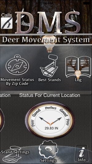 Deer Movement