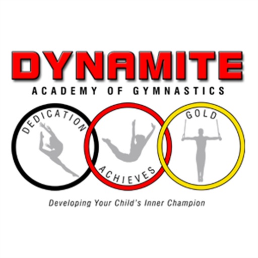 Dynamite Academy by AYN icon