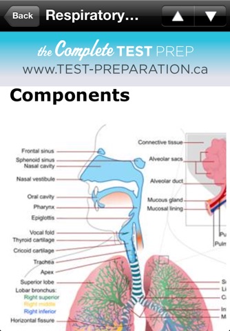 Complete TEAS Study Guide screenshot 4