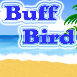 Buff Bird