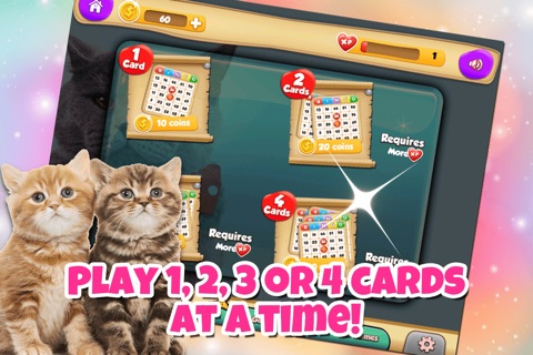 Cat Lovers BINGO! - FREE Multi-Room Bingo Game screenshot 3