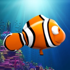 Activities of Splashy Oscar – the little clownfish