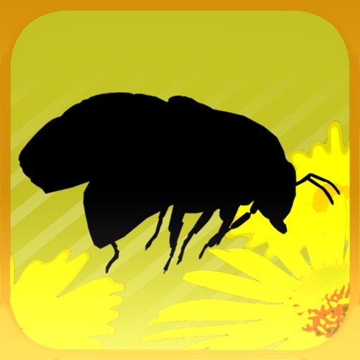 Pollination 2 Plate iOS App