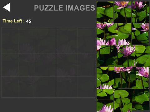 istrat-puzzle-ican screenshot 4