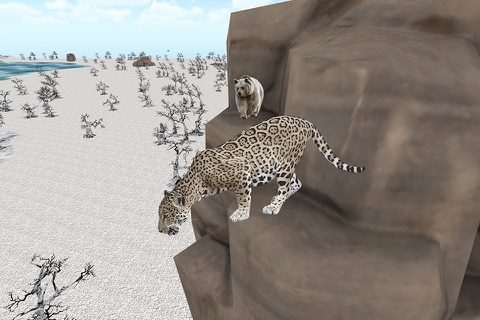 Snow Leopard Survival Attack -  Wild Siberian Beast Hunting Attack Simulation 2016 screenshot 3