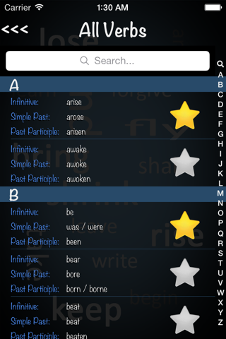 Irregular Verbs Dictionary Lite screenshot 3