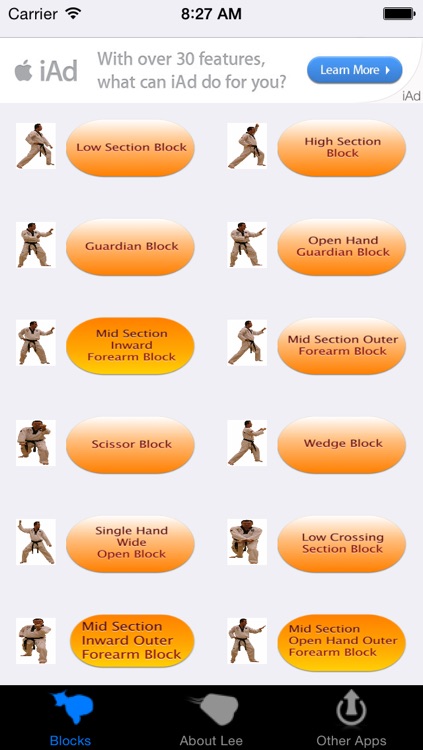 Taekwondo Blocks