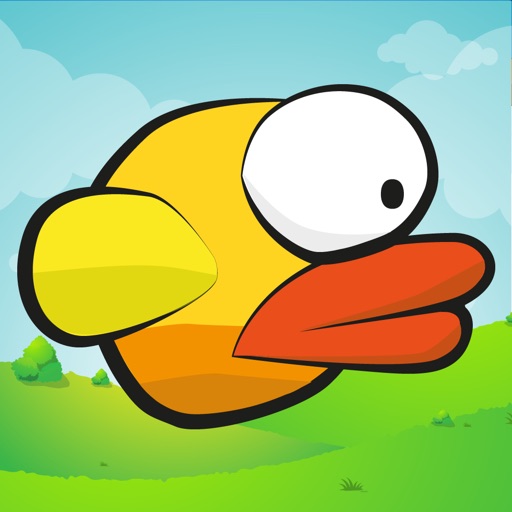 Rival Birds iOS App