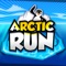 Arctic Run 3D