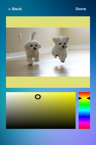 Fit My Pic - Resize Photos to Fit the Instagram Square Size screenshot 2