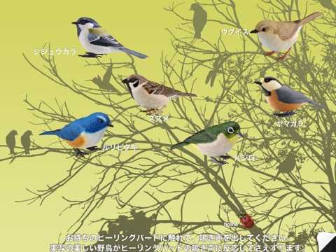 Healing Birds for iPad screenshot 3