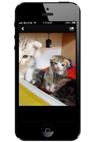 寵貓園貓咪用品專賣店 screenshot 3
