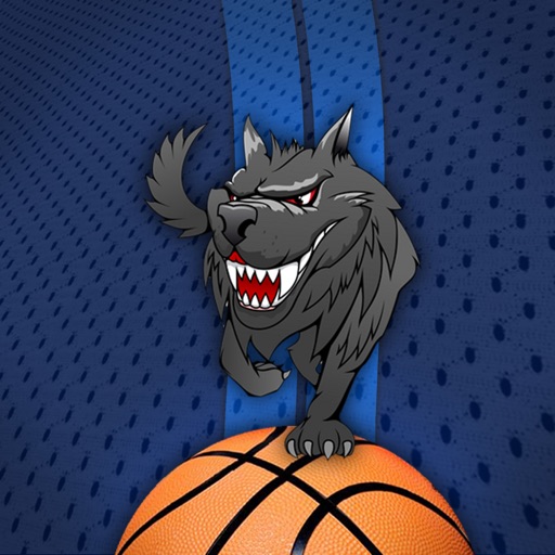Basketball Live - Minnesota Edition icon