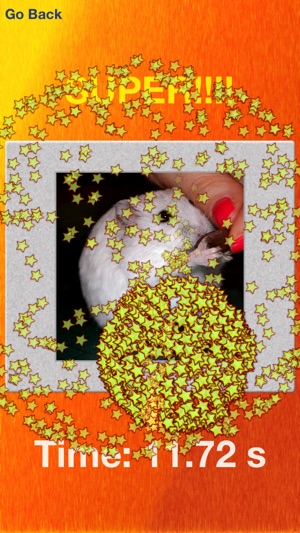 Hamsters And Puzzles(圖5)-速報App