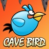 Cave Birds