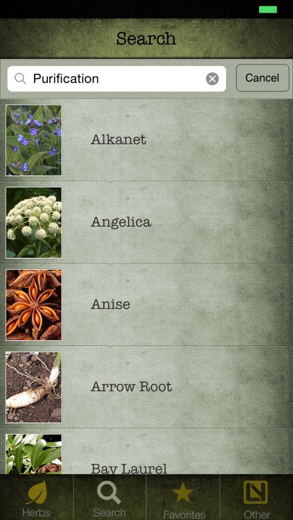Herbs in Magick