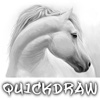 QuickDraw Pad