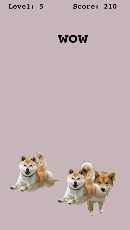 doge game screenshot-4