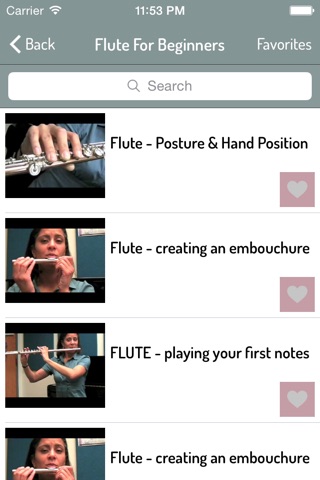 How To Play Flute - Complete Video Guide screenshot 2
