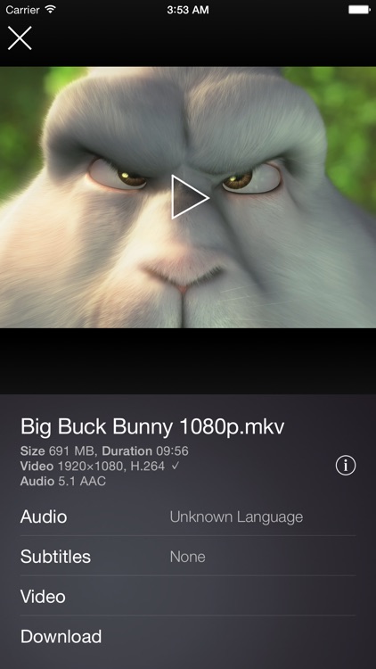 Air Video HD - Now with multitasking and PiP support! screenshot-4
