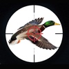 Duck Hunter 3D