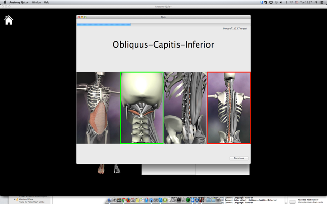 Anatomy Quiz+(圖3)-速報App