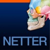 Netter