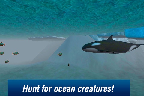 Killer Whale: Orca Simulator 3D screenshot 2