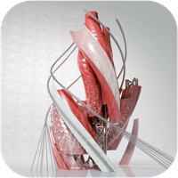 Learn For AutoCADMEP