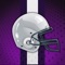"The most complete app for Kansas State Football Fans