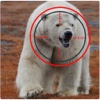 2016 Wild Polar Bear Sniper Hunter