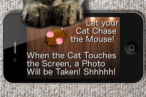 Say Cheese! Games for Cats screenshot 2