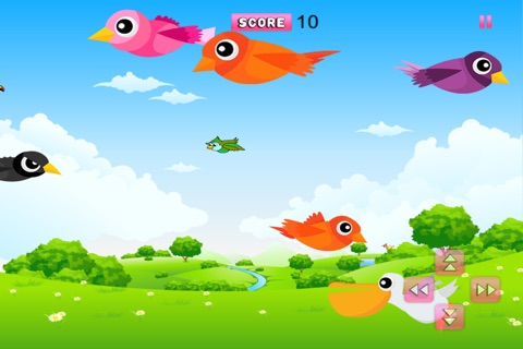 Little Country Bird Escape - Feeding Chick Blitz LX screenshot 3