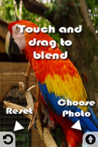 Photo Wisk: Mix and blend pictures screenshot 2