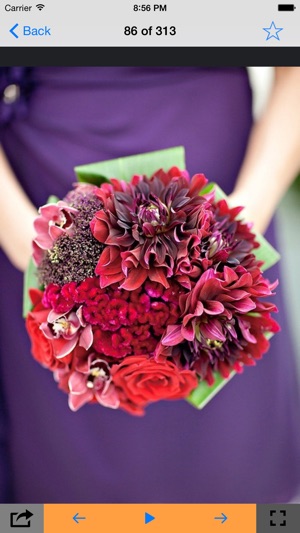 Wedding Bouquet Ideas(圖2)-速報App