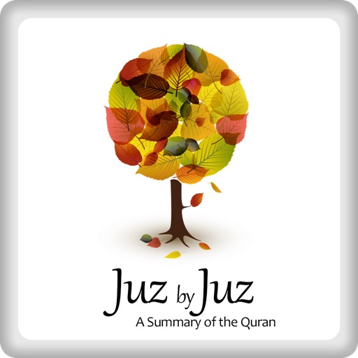 A Summary of the Quran: Juz by Juz