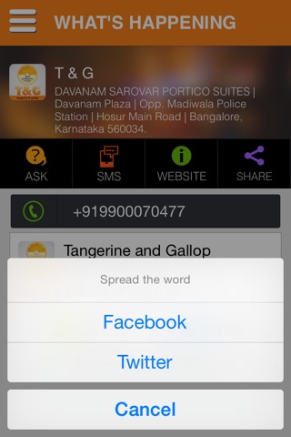 Tangerine and Gallop screenshot 3