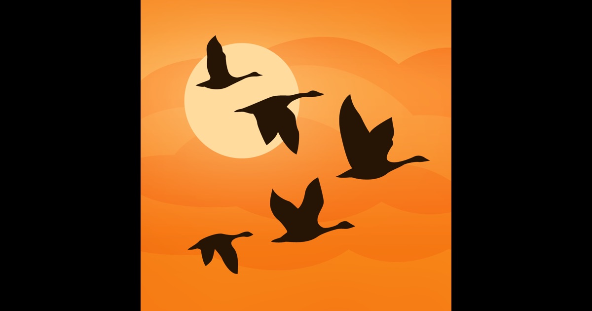 birds near me birding fieldguide on the app store birds near me birding fieldguide on the app store